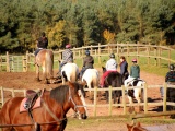 Tn IMG 1477